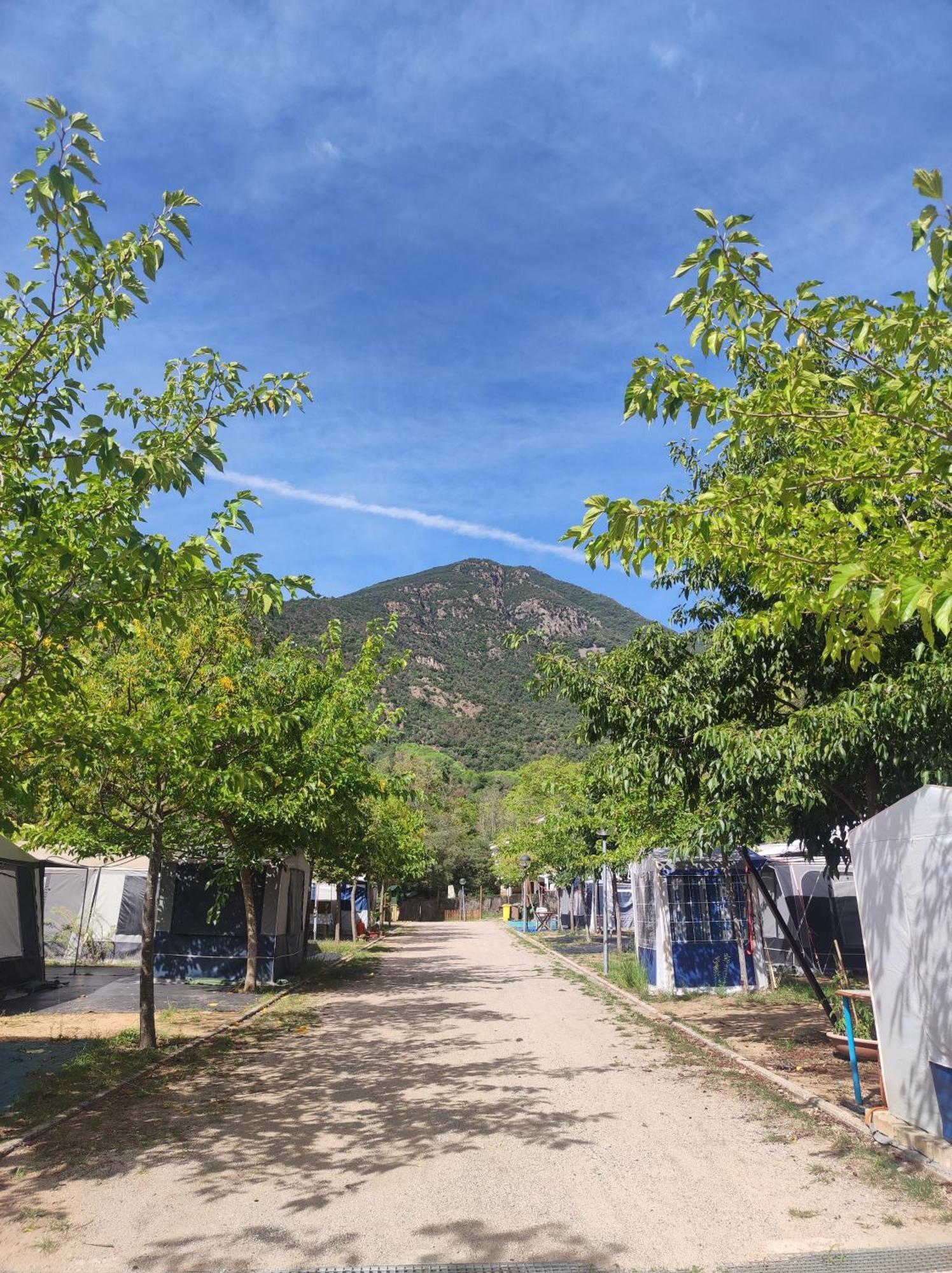 Camping Parc Gualba Gualba de Dalt Εξωτερικό φωτογραφία